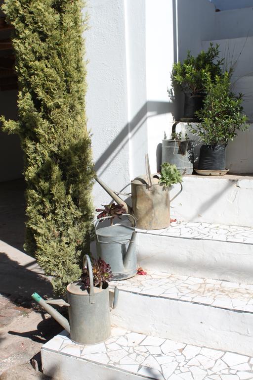בופורט ווסט Cape Karoo Guesthouse מראה חיצוני תמונה